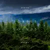 Forest Sounds - Relaxing Sleep album lyrics, reviews, download