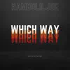 Which Way (Radio Edit) - Single album lyrics, reviews, download