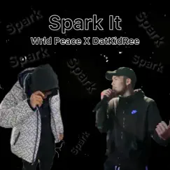 Spark It (feat. datkidree) Song Lyrics