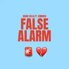 False Alarm Song Lyrics