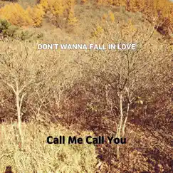 Don't Wanna Fall In Love - Single by Call Me Call You album reviews, ratings, credits