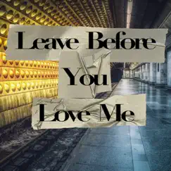 Leave Before You Love Me - Single by Danny McCartney album reviews, ratings, credits