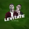 Levitate (feat. Skie) - Single album lyrics, reviews, download