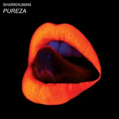 Pureza (Extended Mix) Song Lyrics