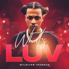 What's Luv - Single by Wildlyfe 1hunnud album reviews, ratings, credits