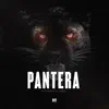 PANTERA - Single album lyrics, reviews, download