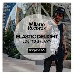On Your Own - Single by Elastic Delight album reviews, ratings, credits
