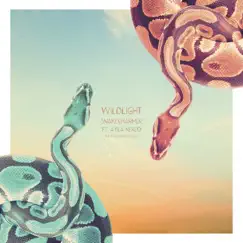 Snakecharmer (feat. Ayla Nereo) - Single by Wildlight & The Polish Ambassador album reviews, ratings, credits