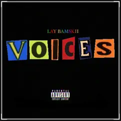 Voices - Single by Lay Bamskii album reviews, ratings, credits