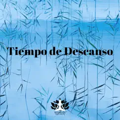 Tiempo de Descanso (Combinación de Kalimba y Sonidos de la Naturaleza) by Meditación Música Ambiente album reviews, ratings, credits