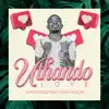 Uthando Love (feat. Oshn Indoni) - Single album lyrics, reviews, download