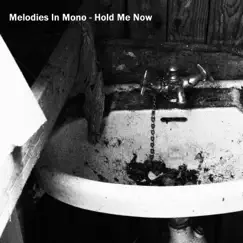 Hold Me Now - Single by Melodies In Mono album reviews, ratings, credits