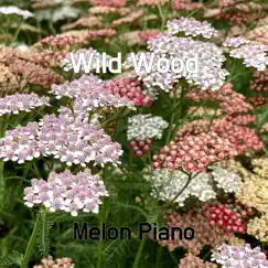 Wild Wood Song Lyrics