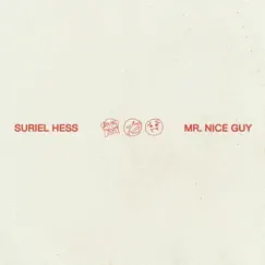 Mr. Nice Guy Song Lyrics