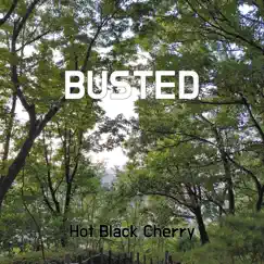 Busted - Single by Hot Black Cherry album reviews, ratings, credits