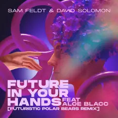 Future In Your Hands (feat. Aloe Blacc) [Futuristic Polar Bears Remix] Song Lyrics