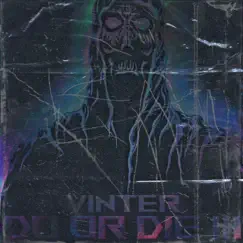 DO OR DIE 3 - Single by Vinter album reviews, ratings, credits