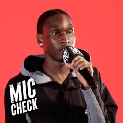 Berna Mic Check Freestyle - Single by Link up TV & BERNA album reviews, ratings, credits