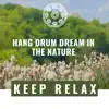 Hang Drum Dream in the Nature album lyrics, reviews, download