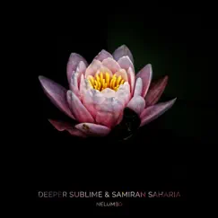 Nelumbo - Single by Deeper Sublime & Samiran Saharia album reviews, ratings, credits
