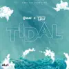 Tidal - Single album lyrics, reviews, download