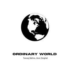 Ordinary World Song Lyrics