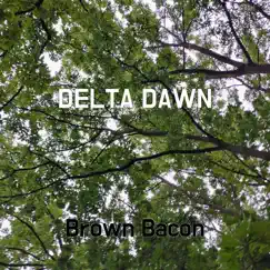 Delta Dawn Song Lyrics
