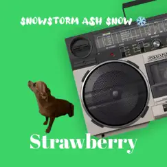 Strawberry Song Lyrics