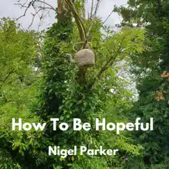 How To Be Hopeful - Single by Nigel Parker album reviews, ratings, credits