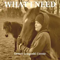 What I Need - Single by Dewey Longuski album reviews, ratings, credits