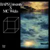 In my Zone (feat. MC Wicks) - Single album lyrics, reviews, download