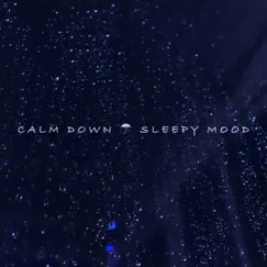 Sleepy Flow Song Lyrics