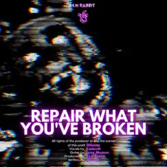 Repair What You've Broken (feat. KaoKraft) - Single by S.I.N Rabbit album reviews, ratings, credits