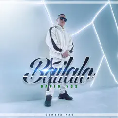 Báilalo - Single by David 502 album reviews, ratings, credits