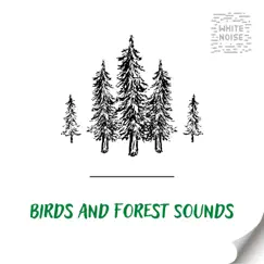 Birds and Forest Sounds for Relaxation with White Noise, Loopable by White Noise Therapy, White Noise Atmospheres & FX Forest Sounds album reviews, ratings, credits