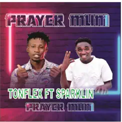 PLAYER MUM (feat. Tonflex) - Single by Sparklin album reviews, ratings, credits
