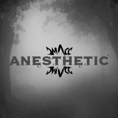 Anesthetic Song Lyrics