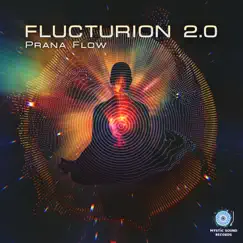 Prana Flow by Flucturion 2.0 album reviews, ratings, credits