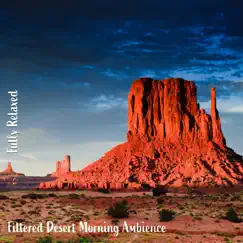 Fully Relaxed: Filtered Desert Morning Ambience by Steve Brassel album reviews, ratings, credits