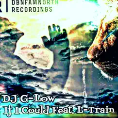 If I Could (feat. L-Train) Song Lyrics