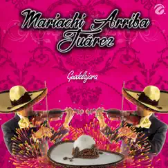 Guadalajara - Single by Mariachi Arriba Juárez album reviews, ratings, credits