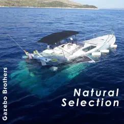 Natural Selection by Gazebo Brothers album reviews, ratings, credits