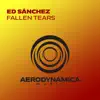 Fallen Tears - Single album lyrics, reviews, download