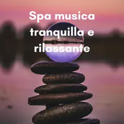 Spa musica tranquilla e rilassante by New Age Musica Zen album reviews, ratings, credits