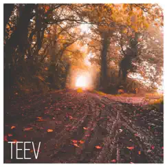 Nine - Single by Teev album reviews, ratings, credits