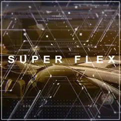 Super Flex Song Lyrics