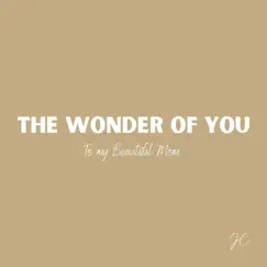The Wonder of You Song Lyrics