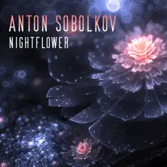 Nightflower (инструментал) Song Lyrics