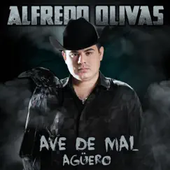 Ave De Mal Agüero - Single by Alfredo Olivas album reviews, ratings, credits