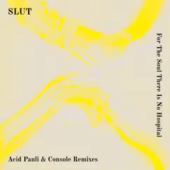 For the Soul There Is No Hospital (Remixes) - Single by Slut, Acid Pauli & Console album reviews, ratings, credits